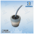 100KHz烟道流量计防腐型DYA-100-WO